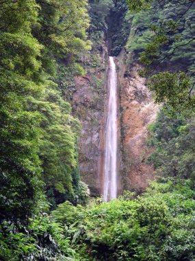 Ters dönmüş ev, Furnas, Sao Miguel Adası, Azores - Portekiz