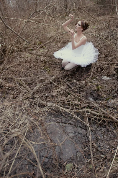 Ballerina posiert im Freien — Stockfoto