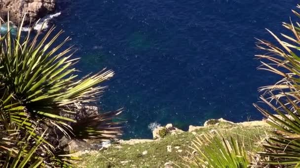 マヨルカ島の周辺の深い青色の水 — ストック動画