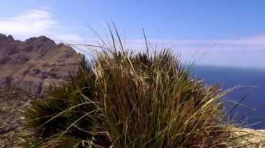 Mallorca cliff hattı
