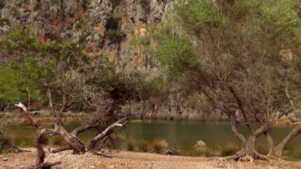 Small mountain lake great wild nature — Stock Video