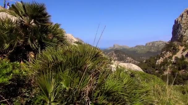 Hermosas montañas y vegetación de la Isla de Mallorca — Vídeos de Stock