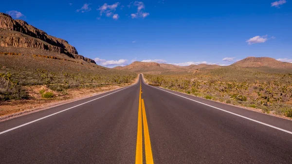 Longa e vazia estrada solitária pelo Arizona — Fotografia de Stock