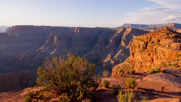 Grand Canyon Arizona ved solnedgang – stockfoto