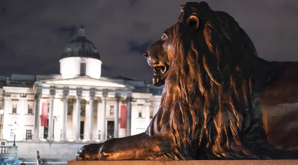 De beroemde leeuwen op Trafalgar Square London's nachts — Stockfoto