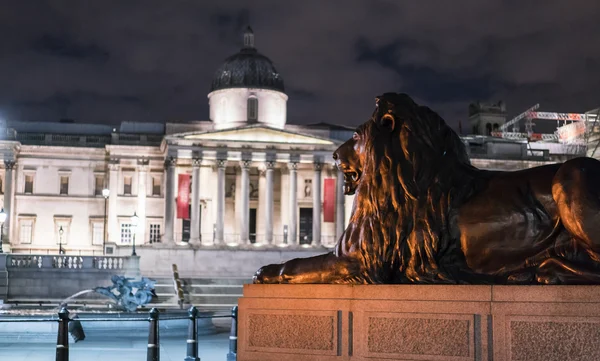 Die berühmten Löwen am Trafalgar Square in London bei Nacht — Stockfoto