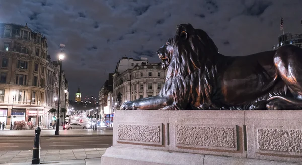 Τα διάσημα λιοντάρια στο Trafalgar Square Λονδίνο τη νύχτα — Φωτογραφία Αρχείου