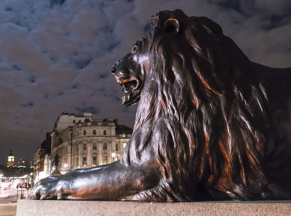 Os famosos Leões na Trafalgar Square Londres à noite — Fotografia de Stock