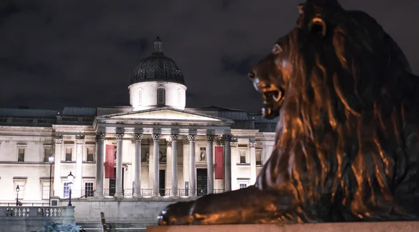 Die berühmten Löwen am Trafalgar Square in London bei Nacht — Stockfoto