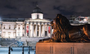 Trafalgar Square Londra gece ünlü aslanlar