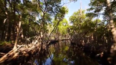 Everglades ile heyecan verici iskelesinden yolculuk