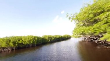 Everglades ile heyecan verici iskelesinden yolculuk