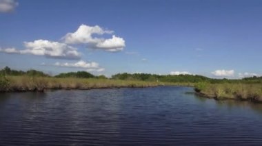 Floridas Everglades nefes kesen tekne yolculuğu