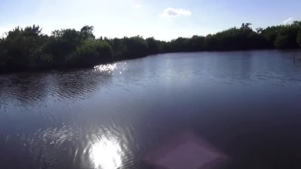沼沢地都市でロマンチックな湖 — ストック動画