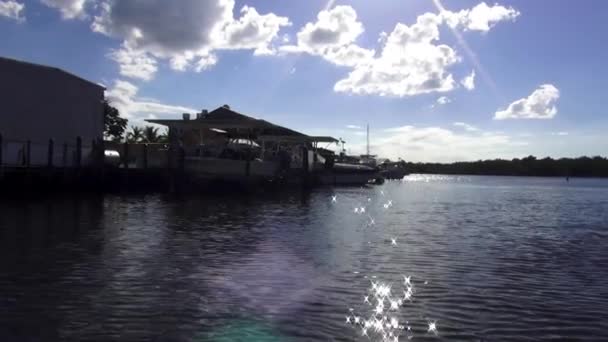 Lago romântico em Everglade cidade — Vídeo de Stock