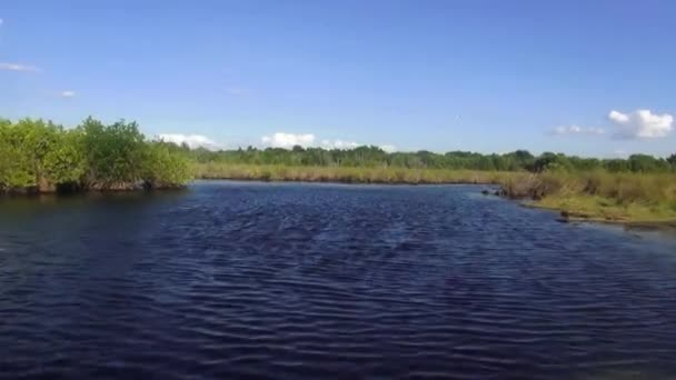 Fantastik iskelesinden Everglades'te binmek — Stok video