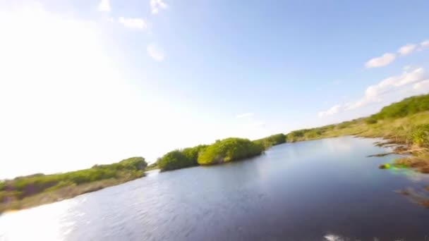 Emozionante giro in airboat attraverso le Everglades — Video Stock