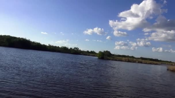 梦幻般的飞艇骑在大沼泽地国家公园 — 图库视频影像