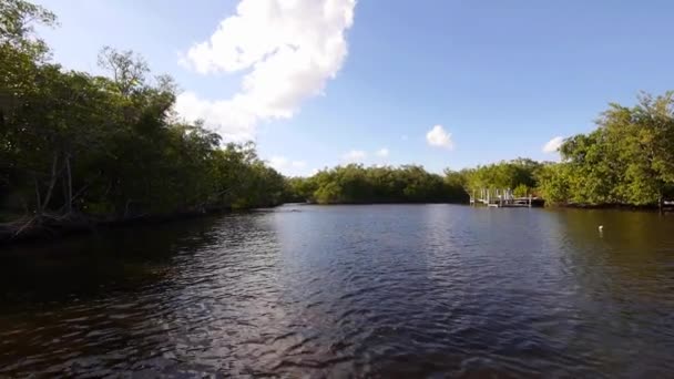 Lago idílico Everglade City — Vídeo de stock