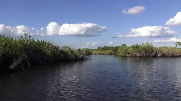 Езда на озере в прекрасный день — стоковое видео