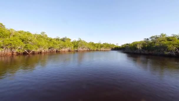 Paseo en bote de aire de alta velocidad en los Everglades — Vídeo de stock