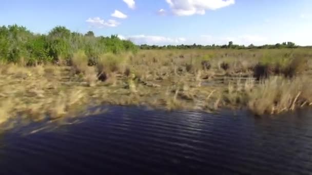 Atemberaubende Luftschifffahrt in Floridas Everglades — Stockvideo