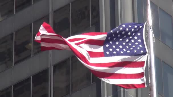 Ons vlag Verenigde Staten van Amerika — Stockvideo