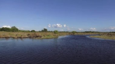 Floridas Everglades nefes kesen tekne yolculuğu