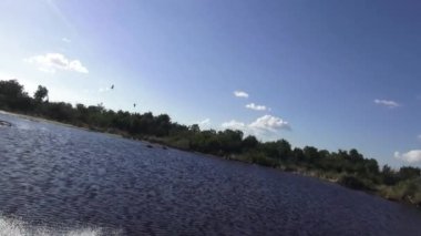 Floridas Everglades nefes kesen tekne yolculuğu