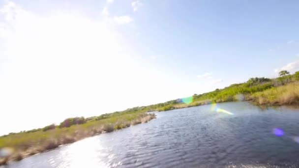 Vzrušující jízda airboat prostřednictvím Everglades — Stock video
