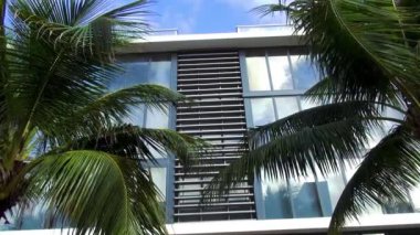 Modern bina Miami Beach