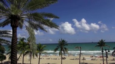 Ft. Lauderdale güzel plajda palmiye ağaçları