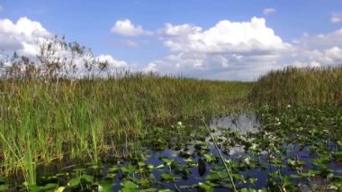 Merkez Floridas sulak alanların büyük Tabiat
