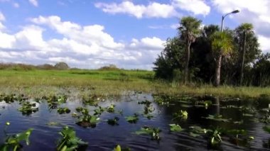 Central Florida'nın harika manzara