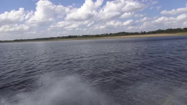 Impresionante paseo en lancha en los Everglades — Vídeo de stock