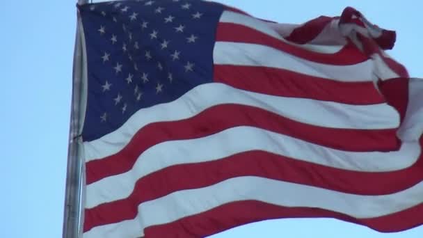 Αμερικανική σημαία στον άνεμο — Αρχείο Βίντεο
