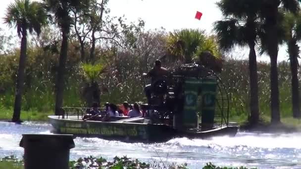 Airboat Cavalcare attraverso le zone umide in Florida centrale — Video Stock