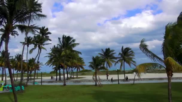 Miami Beach South Beach — Video Stock