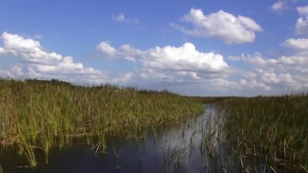Fantástico paisaje de Florida Central — Vídeos de Stock