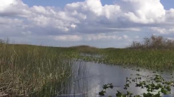 令人惊叹的飞艇骑在大沼泽地国家公园 — 图库视频影像