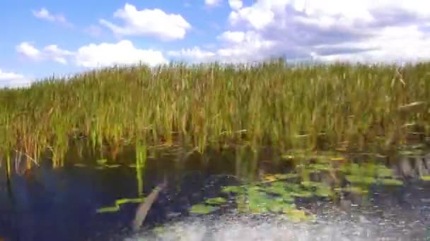 Praterie in Florida centrale giro in Airboat — Video Stock