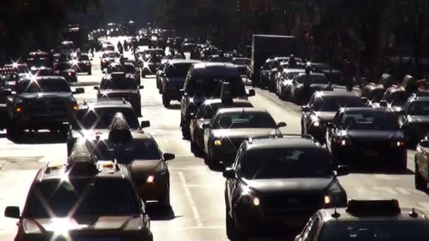 Traficul stradal pe First Avenue — Videoclip de stoc