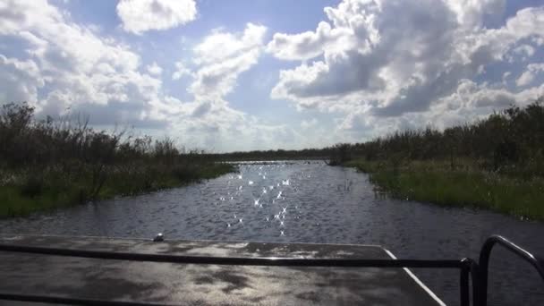 Airboat Cavalcare attraverso le zone umide in Florida centrale — Video Stock