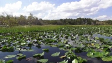 Güneşli bir günde güzel bir göl üzerinde sürme
