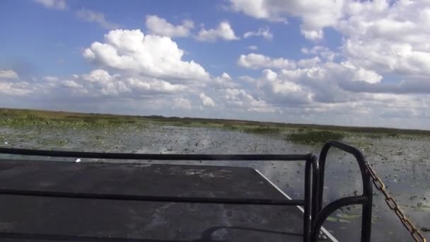 Montando em um belo lago em um dia ensolarado — Vídeo de Stock