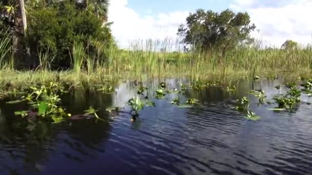 Cabalgando en un hermoso lago en un día soleado — Vídeo de stock