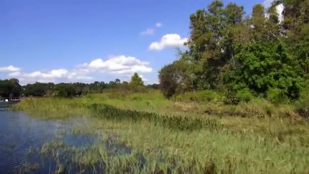 Grande nature des zones humides du centre de Floridas 