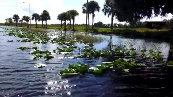 Montando em um belo lago em um dia ensolarado — Vídeo de Stock