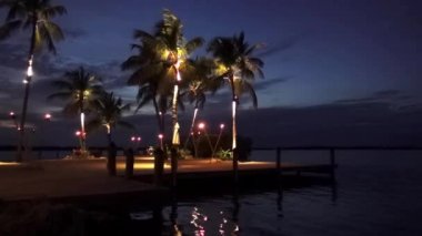 Işıklı palmiye ağaçları ve meşaleler akşam