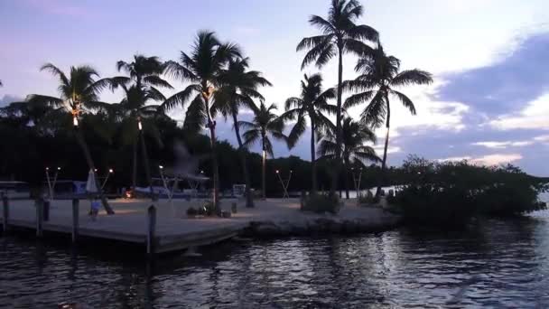 Pájaros volando en la playa de ensueño por la noche — Vídeo de stock